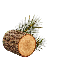 Cedarwood note