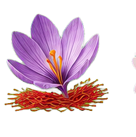 Saffron note